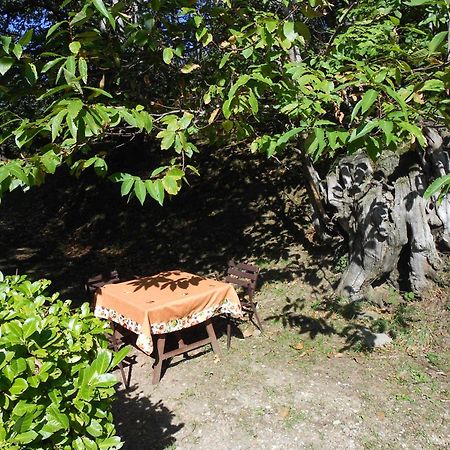 Castelfranco di Sopra Fattoria Il Praticinoヴィラ エクステリア 写真