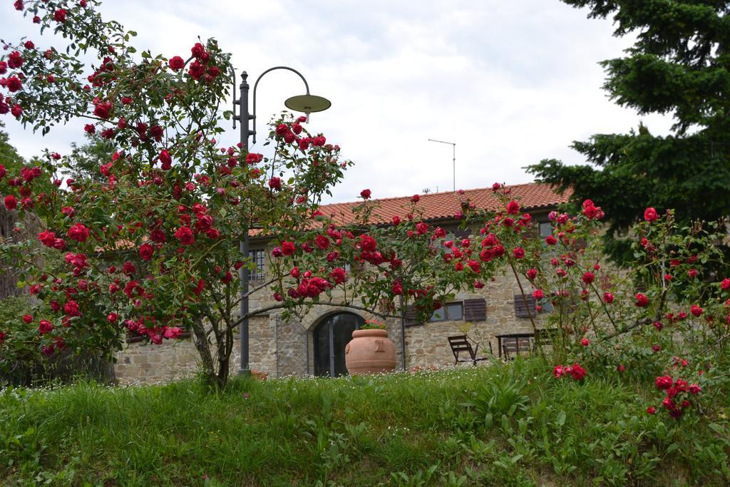 Castelfranco di Sopra Fattoria Il Praticinoヴィラ エクステリア 写真