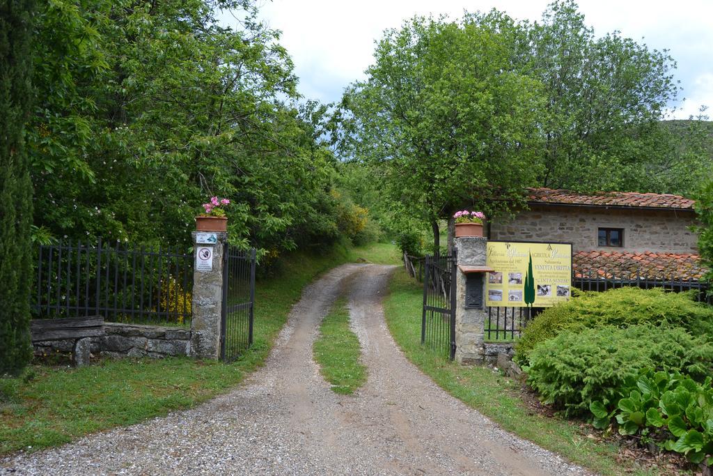 Castelfranco di Sopra Fattoria Il Praticinoヴィラ エクステリア 写真