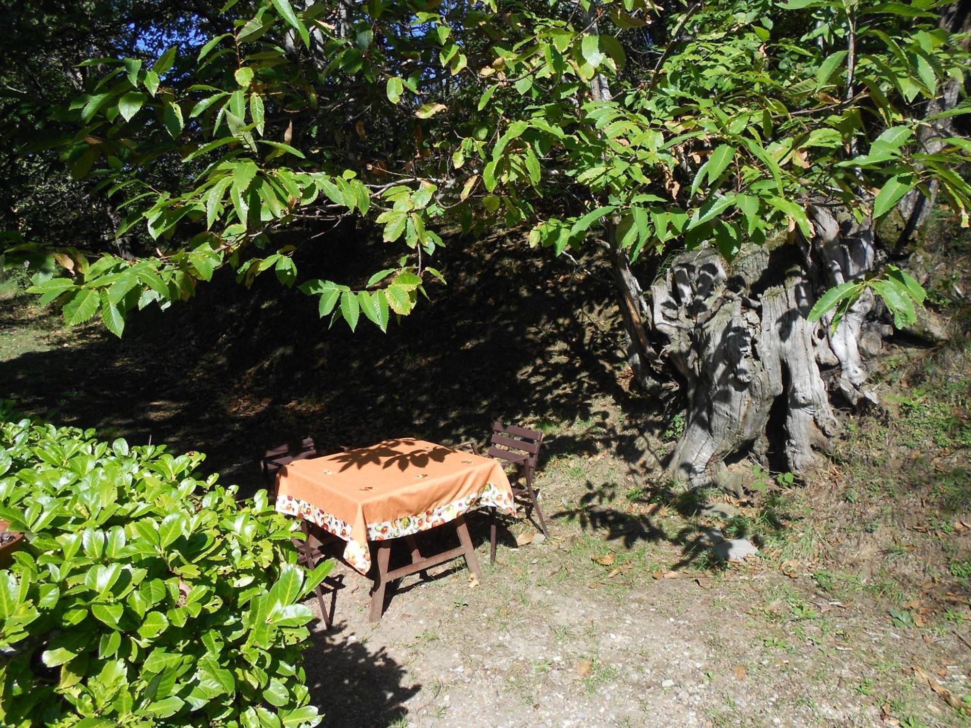 Castelfranco di Sopra Fattoria Il Praticinoヴィラ エクステリア 写真